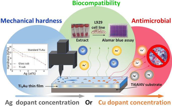 thin film coating on titanium alloy showing enhanced hardness and antimicrobial properties